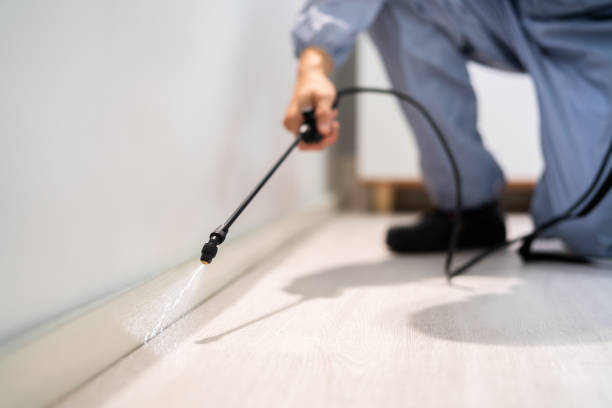 Licensed Pest Control service in Agua Dulce, TX - Show Me Pest Control